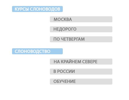 Разработка семантического ядра